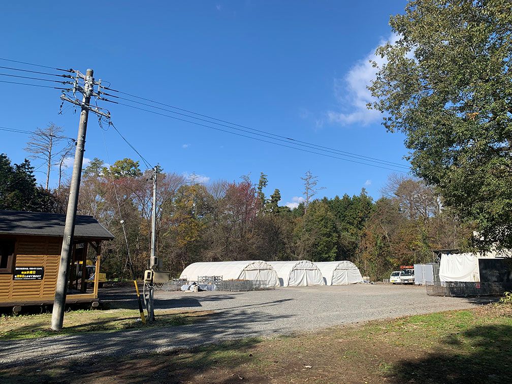 信州産乾燥割薪　ナラ（約9kg)　30cm・樹皮除去| 薪 まき 焚き火 キャンプ アウトドア 薪ストーブ 暖房 燃料 火起こし 自然エネルギー 伊那市 長野県 信州【010-a2】