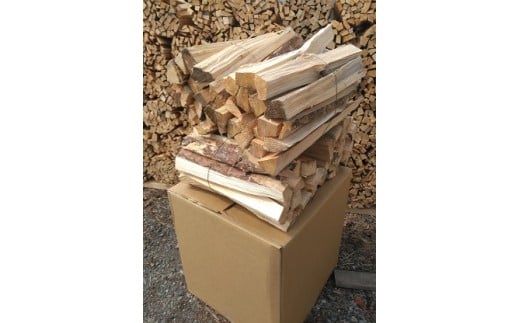 信州伊那谷産　松の薪　（焚き付け用）1箱　4束入り　２５ｋｇ相当｜薪 25kg 松の薪 長野県 伊那市 キャンプ BBQ アウトドア【008-17】