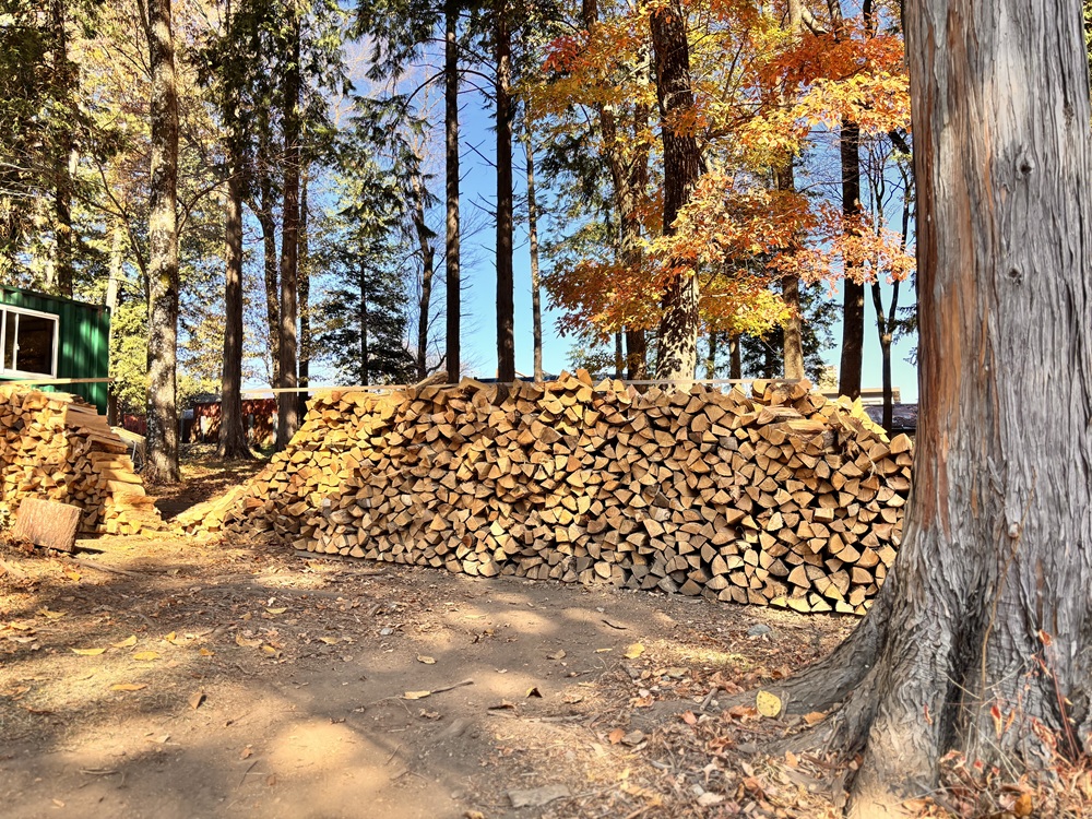 薪 信州産 広葉樹の薪 薪1箱 約20キロ 薪長さ：35cm｜伊那 薪 松 キャンプ 伊那産 広葉樹 暖かい アウトドア おすすめ ふるさと納税【008-28】