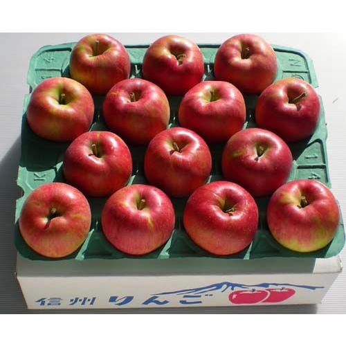 先行受付 令和8年産 有機肥料栽培 りんご ふじ5kg｜伊那 りんご ふじ フルーツ 果物 甘い 農園 林檎 ふるさと納税 長野県【011-05】