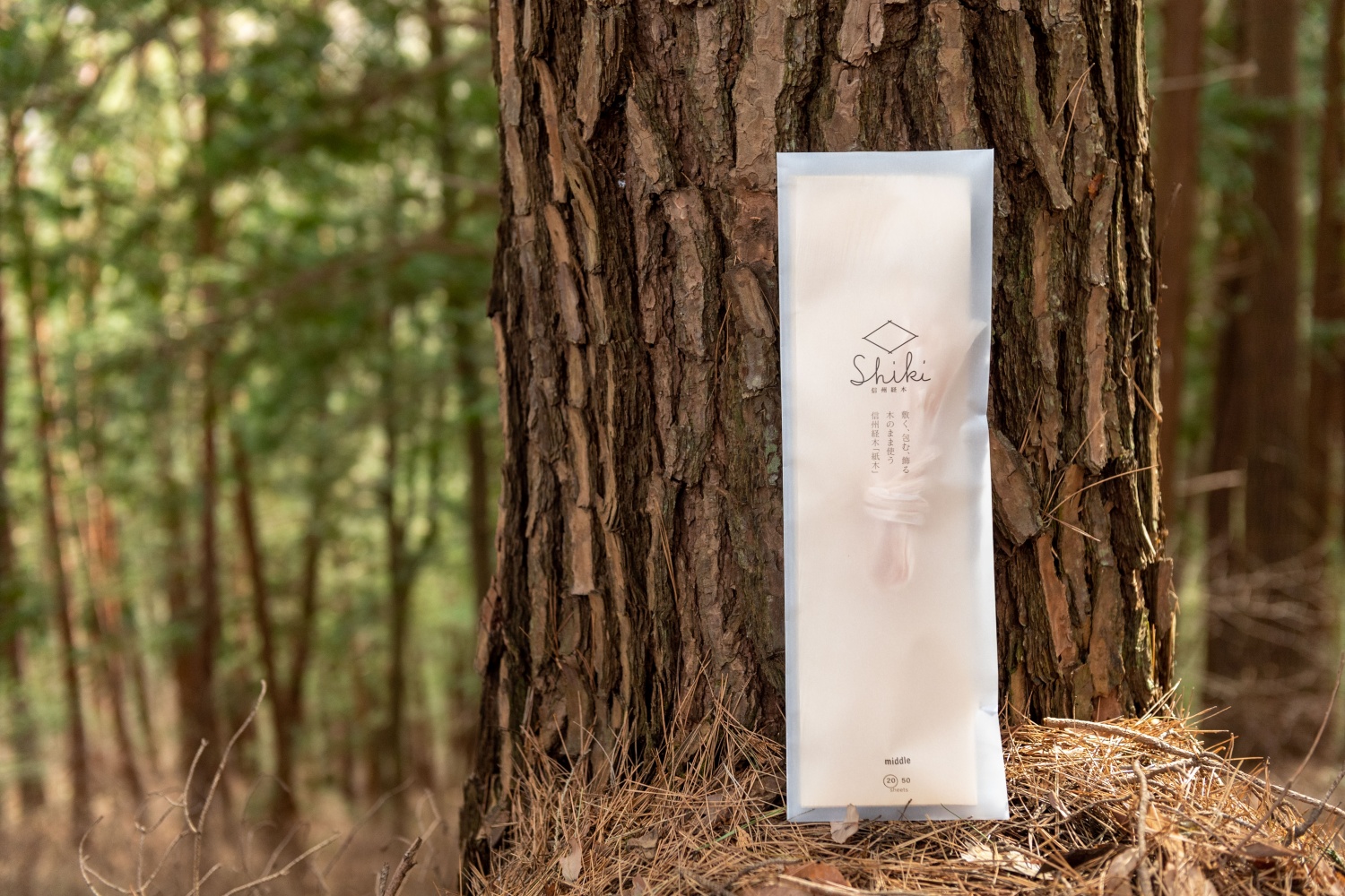 信州経木Shiki（short20/middle20+紐付）｜信州 伊那 包装材 お弁当 弁当 保存 包み ラッピング 森 森林 木 アカマツ 経木 伝統 料理【007-07】