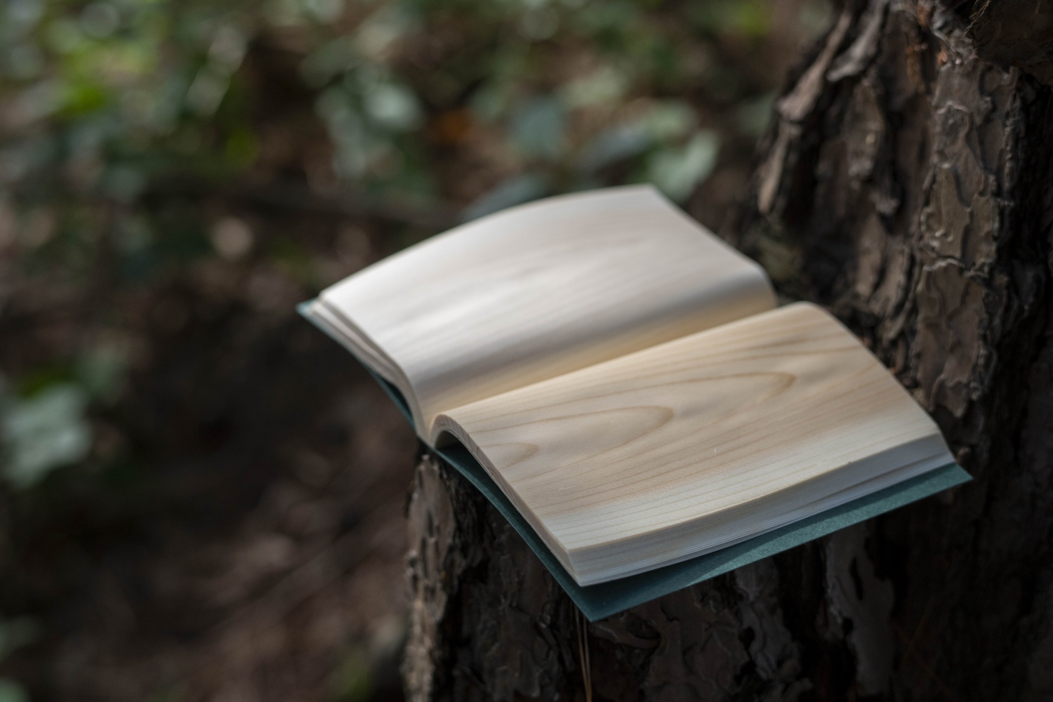 Shikibun 木のノート | 伊那市 信州 ふるさと納税 木材 木 ノート 文房具 経木【010-02】