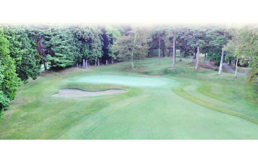 【010-45】伊那エースカントリークラブ　ゴルフ場利用補助券　3000円分