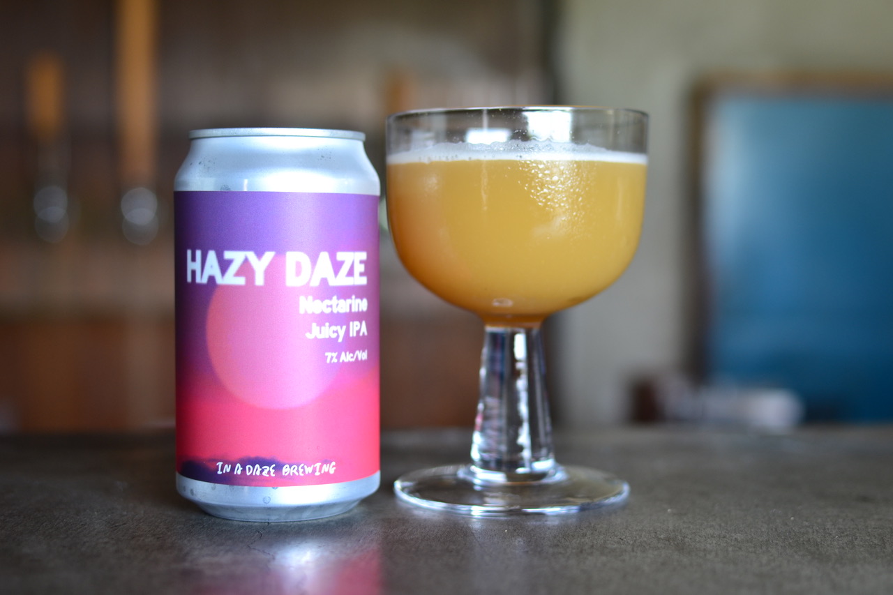 伊那の果物で醸す、フルーティーなクラフトビール6本セット　350mL缶×6本（種類お任せ　3種以上）|伊那市 長野県 信州 クラフトビール スペシャル お酒 アルコール ビール【017-18】