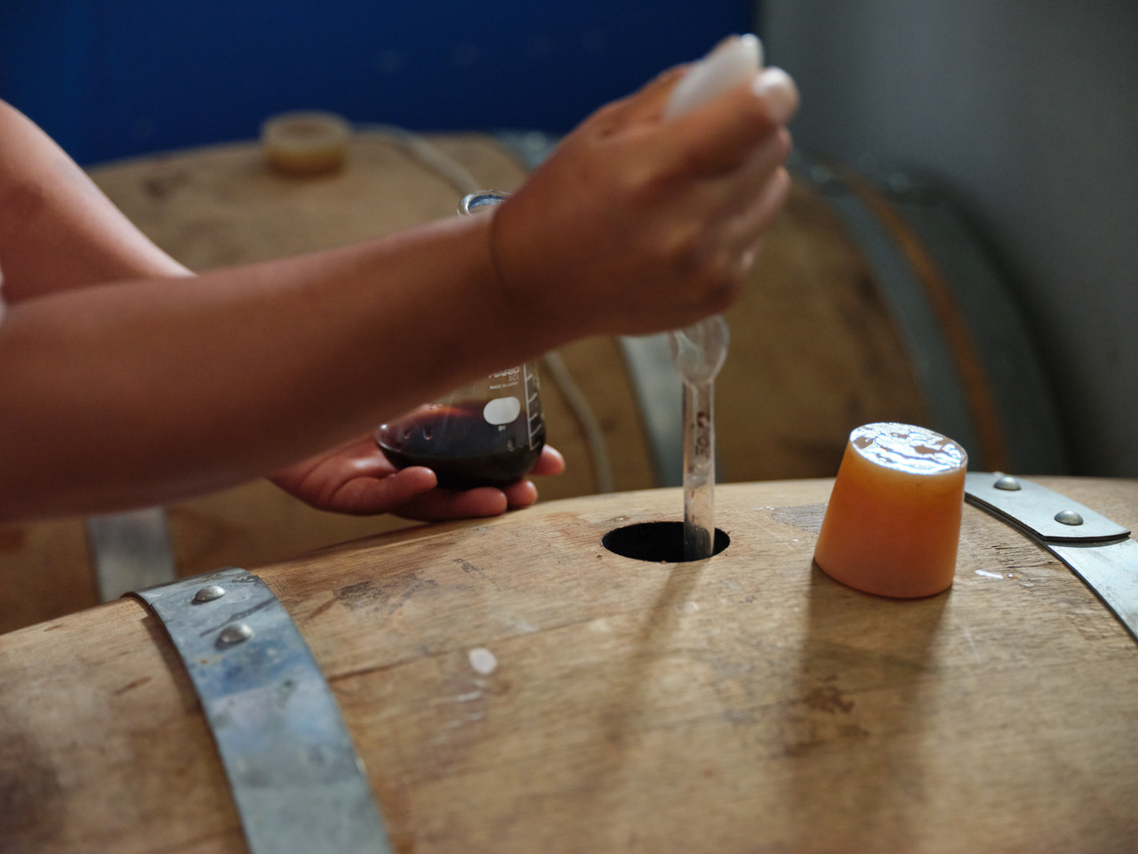 伊那で醸す、ワイン樽熟成のスペシャルクラフトビール740ml×3本セット　（熟成度合いがボトルごとすべて異なります。山ぶどうを使用したビールを熟成。ワインのような味わい）|伊那市 長野県 信州 クラフトビール スペシャル お酒 アルコール ビール【037-13】