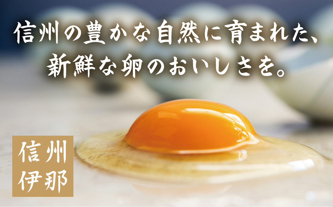 冷凍厚焼玉子　500g×2本入り｜卵 冷凍 卵焼き 厚焼玉子 和食 食品 おかず 伊那 長野県 信州【009-25】