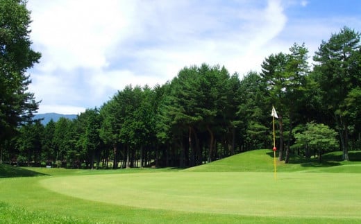 ゴルフ チケット 信州伊那国際ゴルフクラブ ゴルフ場利用補助券 1,000円×9枚 | ゴルフ チケット 補助券 長野 伊那市 信州 長野県 【030-19】