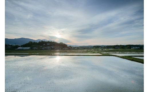 井乃頭　純米吟醸　無濾過生　R6BY（吟醸生酒）｜長野県産 日本酒 ひとごこち 地酒 吟醸生酒 地元限定酒 ふるさと納税 晩酌 アルコール 伊那市 ふるさと納税【011-94】
