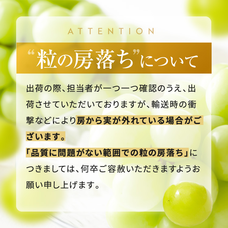 葡萄 伊那市産 ぶどう ナイアガラ 約2kg 2026年産 先行予約【011-97】