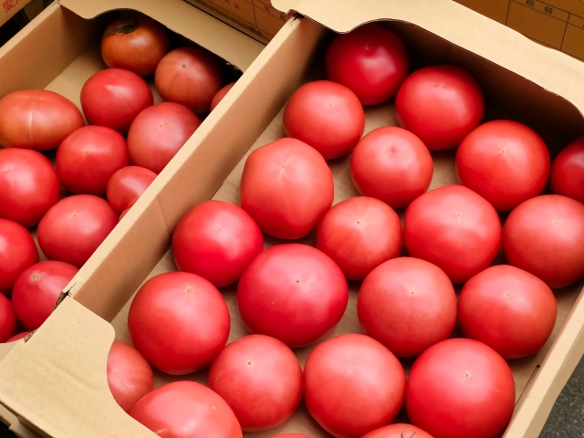 アルプスイーナちゃん トマト（4キロ箱入り）｜伊那市 収穫 美味しい トマト 甘さ 酸味 バランス 濃厚 味 おいしい 空気 ふるさと納税【010-07】