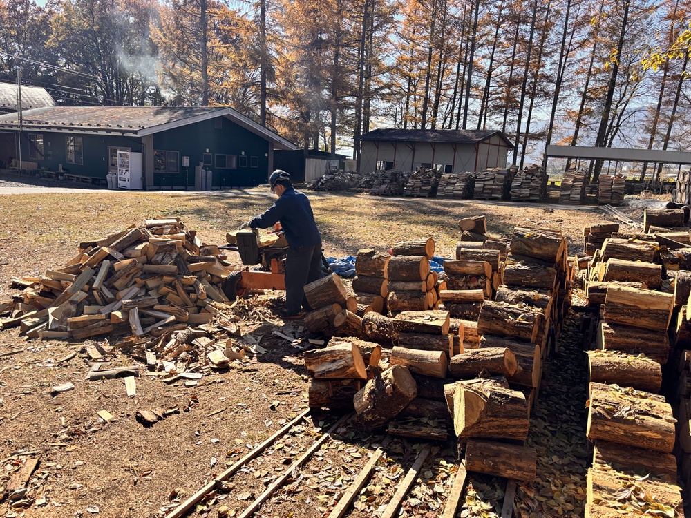 薪 信州産 松の薪 薪1箱 約20キロ 薪長さ：35cm｜伊那 薪 松 キャンプ 伊那産 松の薪 暖かい アウトドア おすすめ ふるさと納税【008-29】
