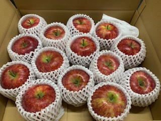 りんご シナノリップ 信州産の夏りんご 美味しさNO.1 さわやかな酸味 シナノリップ 約4kg | 果物 フルーツ 林檎 りんご シナノリップ 長野県 オリジナル 品種 伊那市 【012-64】