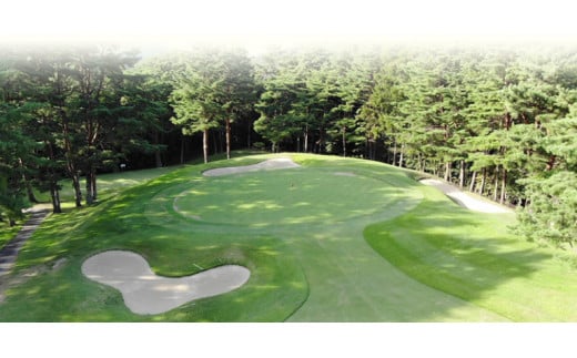 【010-45】伊那エースカントリークラブ　ゴルフ場利用補助券　3000円分