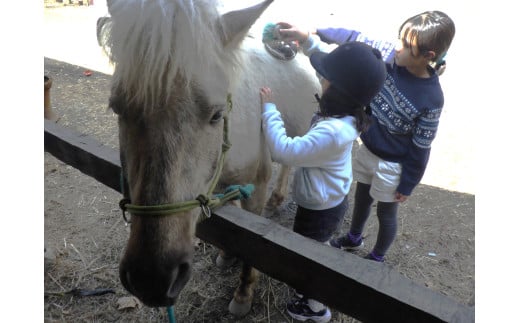 【055-12】里山で乗馬体験（馬のブラシがけと乗馬でむらをお散歩）1人から5人まで可能