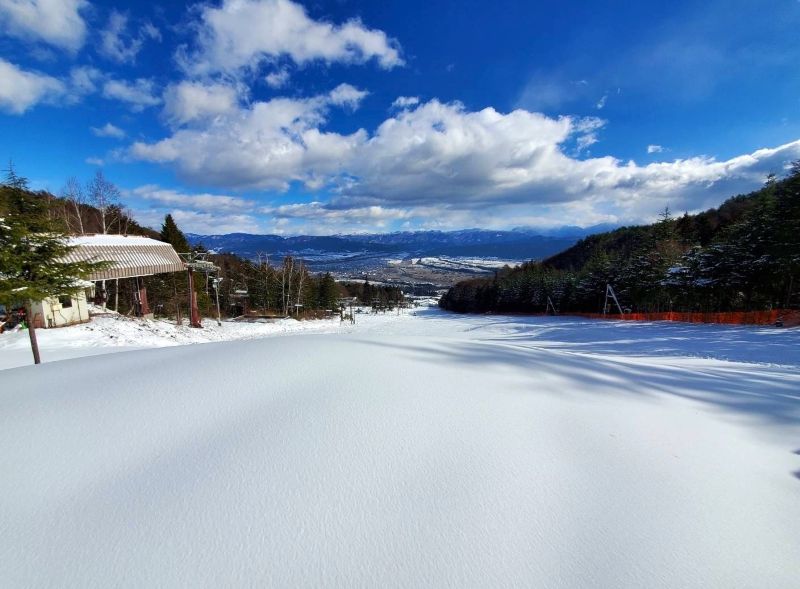 スキー チケット 25-26年シーズン 伊那スキーリゾート リフト大人1日券 ｜リフト券 スキー スキー場 スキーリゾート リゾート 1日券 伊那スキーリゾート 伊那市 長野県 信州 観光【017-14】