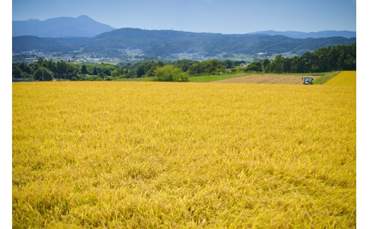 井乃頭　純米吟醸　火入れ　R6BY（吟醸酒）｜長野県産 日本酒 ひとごこち 地酒  地元限定酒 ふるさと納税 晩酌 アルコール 伊那市 ふるさと納税【011-93】