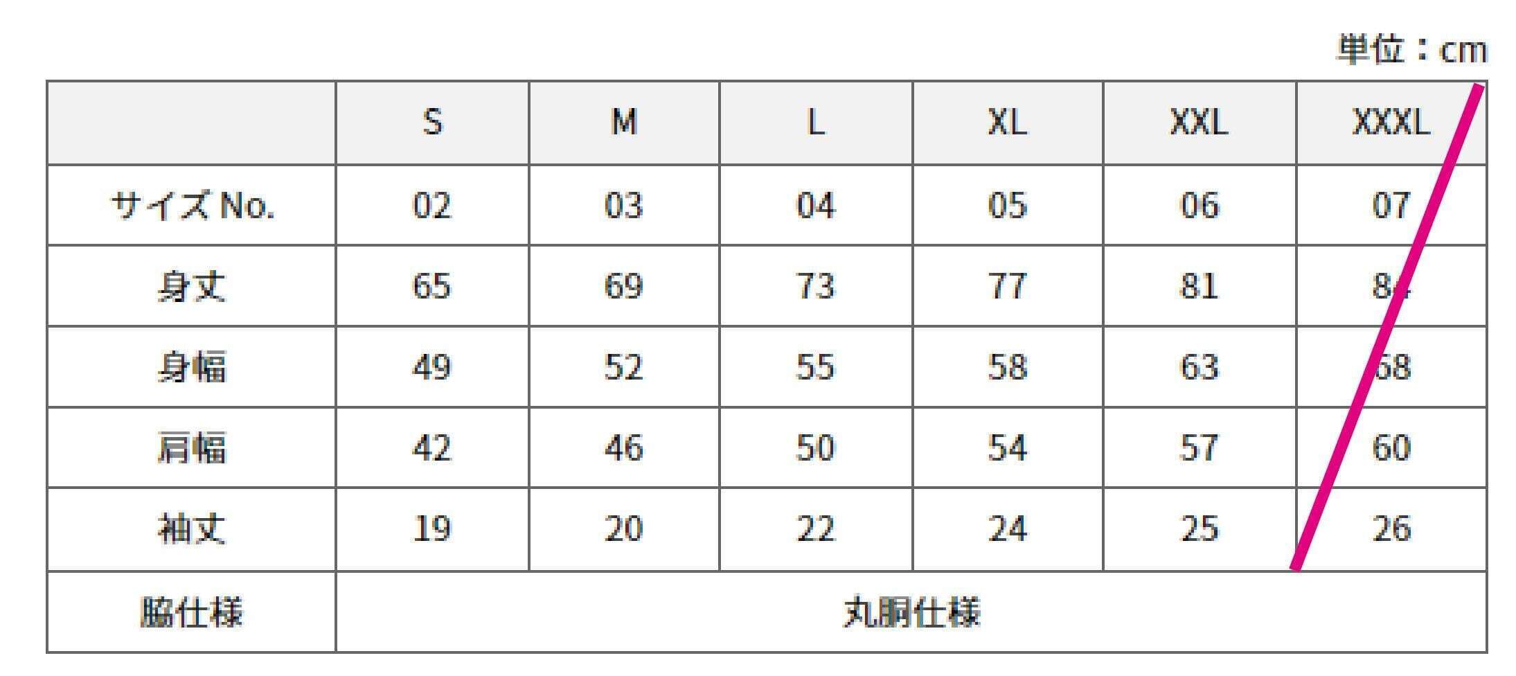 INA CITY Tシャツ ブラックMサイズ | アパレル 服 洋服 Tシャツ ロゴT シャツ 伊那デザイン シンプルT ホワイト ブラック ご当地T ローカルブランド カジュアル 伊那市 ふるさと納税