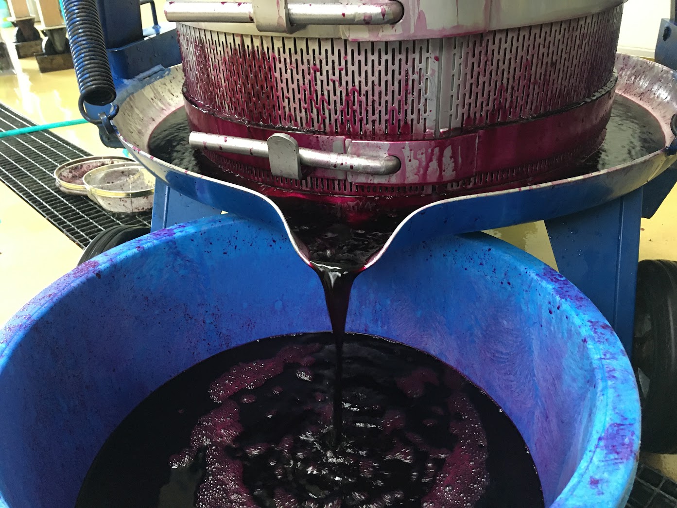 ワイン 日本ワイン やまぶどうワイン 「山紫」 720ml 1本 | ワイン wine 山ぶどう 山葡萄 ぶどう 信州大学 信大W-3 ポリフェノール 伊那ブランド ふるさと納税 返礼品 信州産 長野県 伊那市 【012-70】