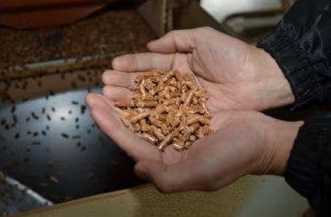 燃料 木質ペレット ピュア１号 （ 10kg × 6袋 ）| 燃料 ペレットストーブ 木質 ペレット 固形燃料 森林 資源 間伐材 CO2削減 自然エネルギー 長野県 伊那市 【027-05】