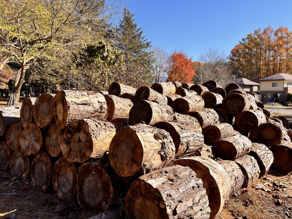 薪 信州産 松の薪 薪1箱 約20キロ 薪長さ：35cm｜伊那 薪 松 キャンプ 伊那産 松の薪 暖かい アウトドア おすすめ ふるさと納税【008-29】