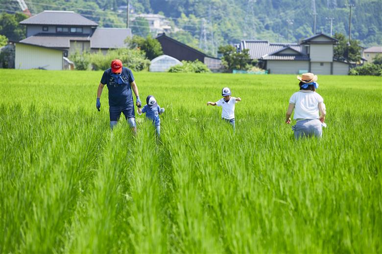 米 お米 コシヒカリ 信州伊那産 令和７年度 伊那市田原産米 コシヒカリ 5キロ ｜ 米 コシヒカリ 田原産 お米 伊那 伊那産 長野県 ふるさと納税 【014-50】