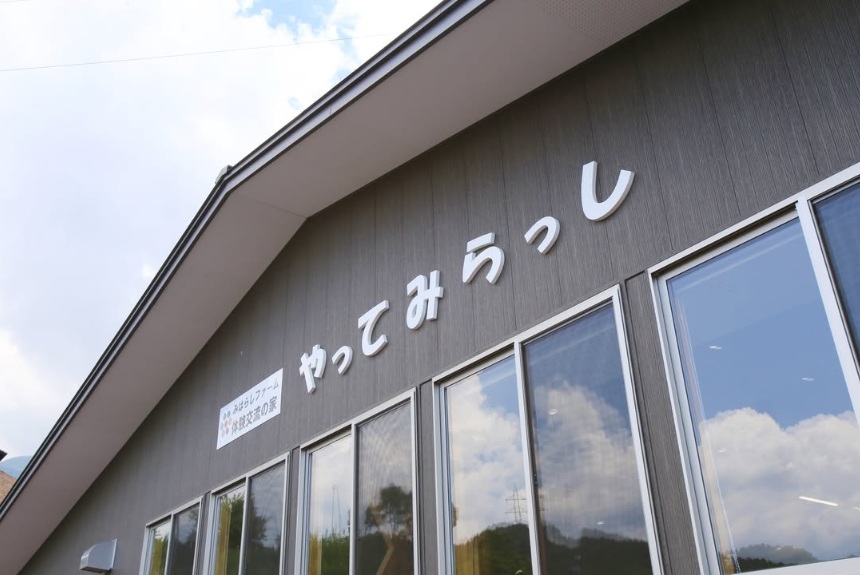 とうもろこし 伊那市産 スイートコーン 約5kg 2Lサイズ 12本入り 恵味 めぐみ 【013-52】