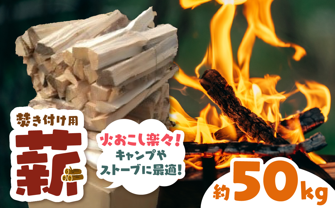 信州伊那谷産　松の薪　（焚き付け用）1箱　4束入り　２５ｋｇ相当×２箱｜松の薪 焚き付け 長野県 伊那市 キャンプ BBQ アウトドア【016-15】
