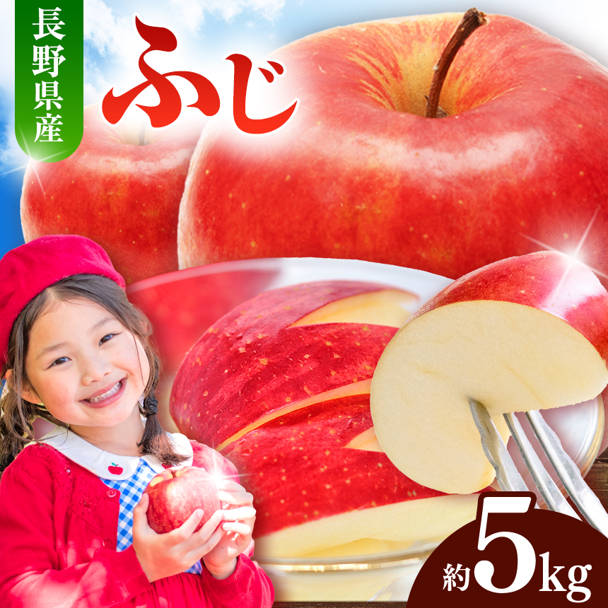 先行受付 令和8年産 有機肥料栽培 りんご ふじ5kg｜伊那 りんご ふじ フルーツ 果物 甘い 農園 林檎 ふるさと納税 長野県【011-05】