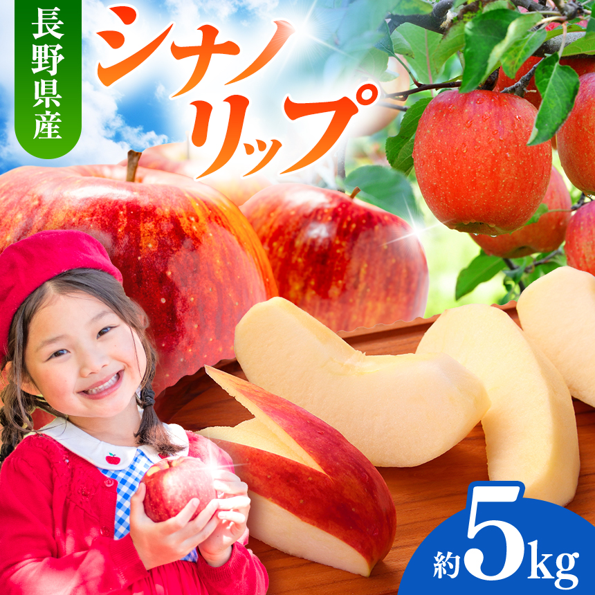 先行受付 令和8年度産 シナノリップ（夏りんご）　5kg｜シナノリップ りんご 林檎 夏りんご 先行受付 甘い 果物 フルーツ【012-35】