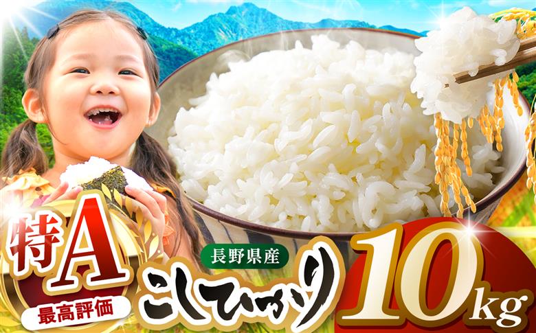 米 10kg コシヒカリ 令和7年産 JA上伊那 コシヒカリ 今ずり米 5kg 2袋 長野 上伊那産 お米 長野県産 こしひかり 10キロ 白米 精米 信州産 特産 産地直送 おすすめ こめ コメ おこめ 送料無料 長野県 伊那市【034-10】