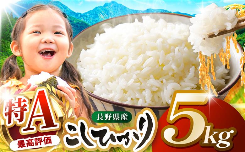 米 5kg コシヒカリ 令和7年産 JA上伊那 コシヒカリ 今ずり米 5kg  長野 上伊那産 お米 長野県産 こしひかり 5キロ 白米 精米 信州産 特産 産地直送 おすすめ こめ コメ おこめ 送料無料 長野県 伊那市 【017-24】
