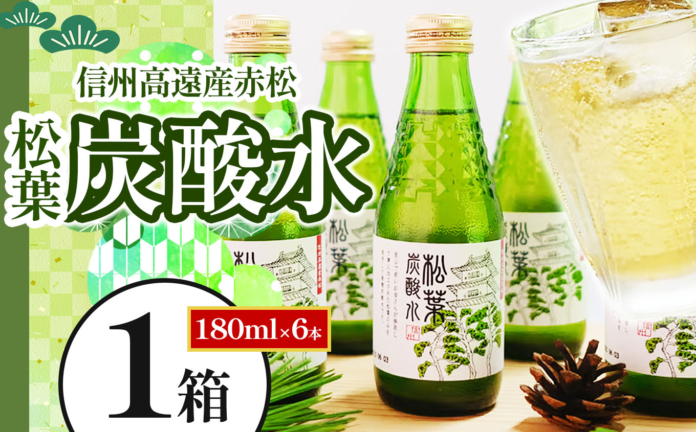 信州高遠産赤松:松葉炭酸水180ml×6本1箱 | 長野県 伊那市 松葉健康法 松葉 高遠 高遠里山の風 里山 再生 保全 松 松葉 炭酸 森林浴 信州 長野県産【010-70】