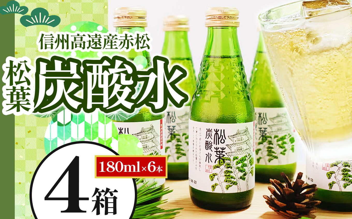 信州高遠産赤松:松葉炭酸水180ml×6本4箱 | 長野県 伊那市 松葉健康法 松葉 高遠 高遠里山の風 里山 再生 保全 松 松葉 炭酸 森林浴 信州 長野県産 【036-08】