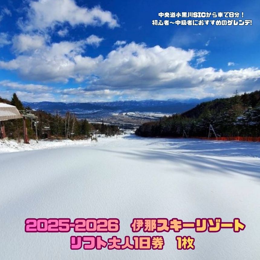 スキー チケット 25-26年シーズン 伊那スキーリゾート リフト大人1日券 ｜リフト券 スキー スキー場 スキーリゾート リゾート 1日券 伊那スキーリゾート 伊那市 長野県 信州 観光【017-14】