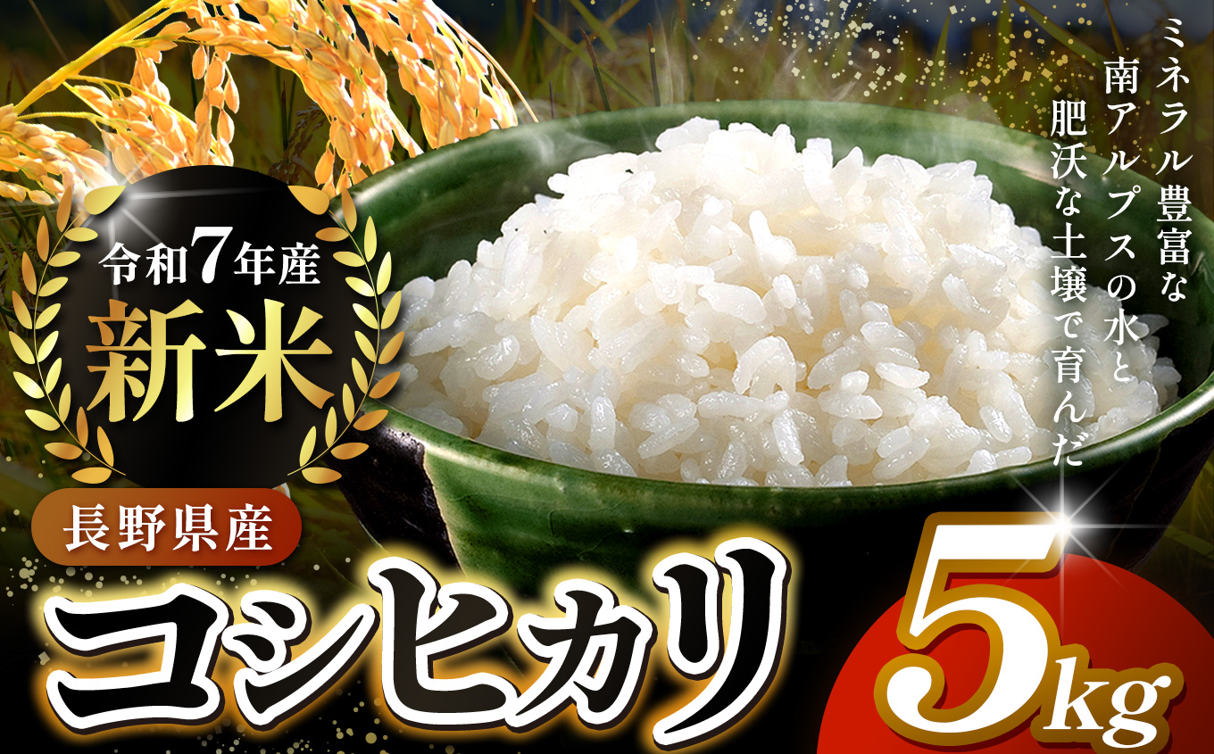 米 お米 コシヒカリ 信州伊那産 令和７年度 伊那市田原産米 コシヒカリ 5キロ ｜ 米 コシヒカリ 田原産 お米 伊那 伊那産 長野県 ふるさと納税 【014-50】