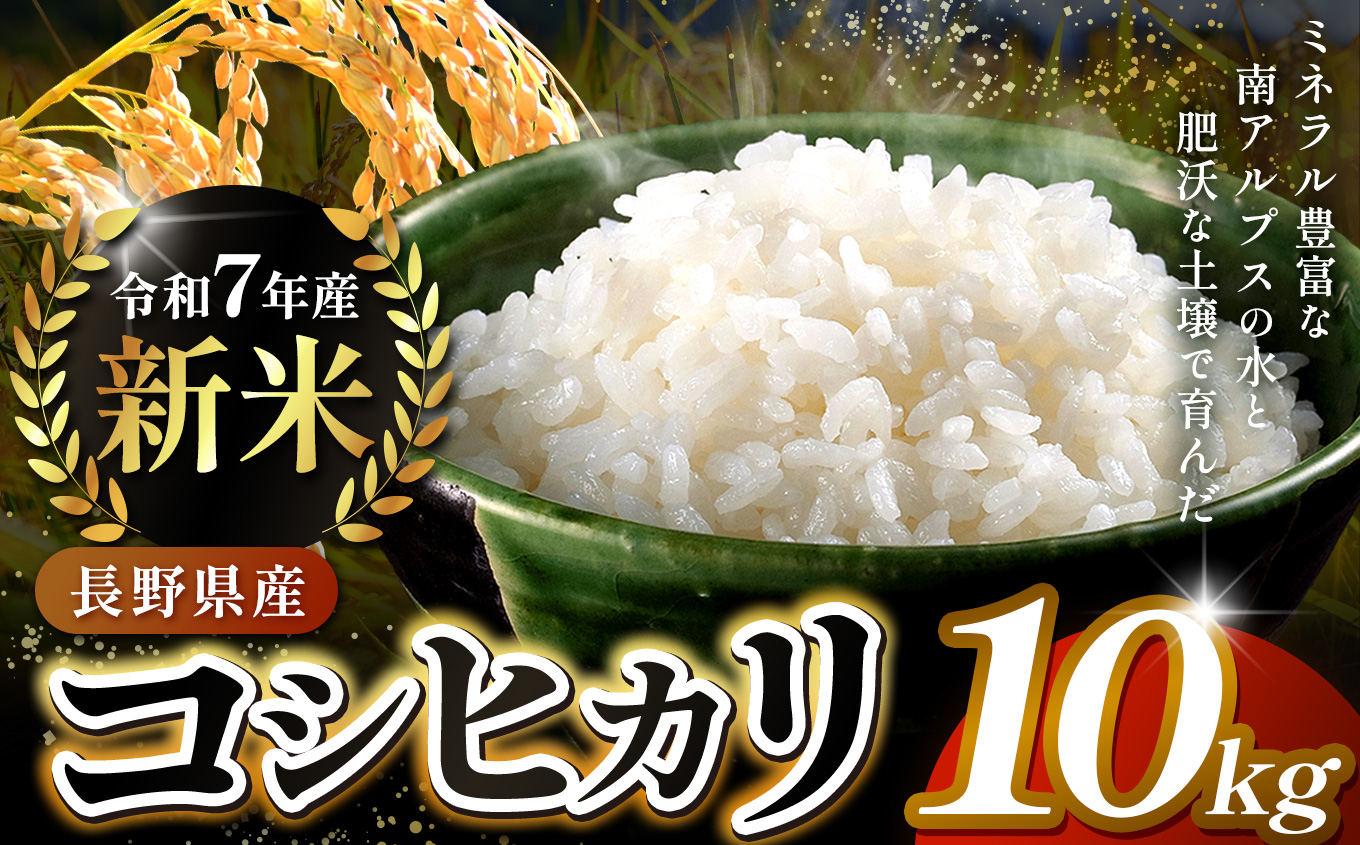 米 お米 コシヒカリ 信州伊那産 令和７年度 伊那市田原産米 コシヒカリ 10キロ ｜ 米 コシヒカリ 田原産 お米 伊那 伊那産 長野県 ふるさと納税 【027-17】