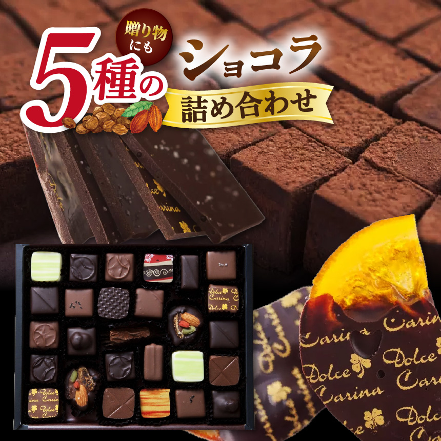 チョコレート ショコラ 詰め合わせ ギフト ガトーショコラ 塩チョコ テラコッタ 板チョコ ボンボンショコラ ｜ スイーツ チョコレート ショコラ ドルチェカリーナ パティシエ 人気 詰め合わせ セット 洋菓子 長野県 伊那市 【016-17】