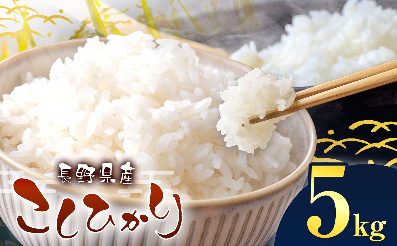 令和7年産 伊那市産 こしひかり 5kg｜ 米 コシヒカリ こしひかり 白米 ご飯 お米 伊那 伊那産 長野県 ふるさと納税【014-56】