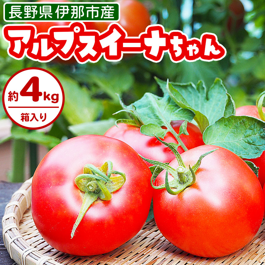 アルプスイーナちゃん トマト（4キロ箱入り）｜伊那市 収穫 美味しい トマト 甘さ 酸味 バランス 濃厚 味 おいしい 空気 ふるさと納税【010-07】