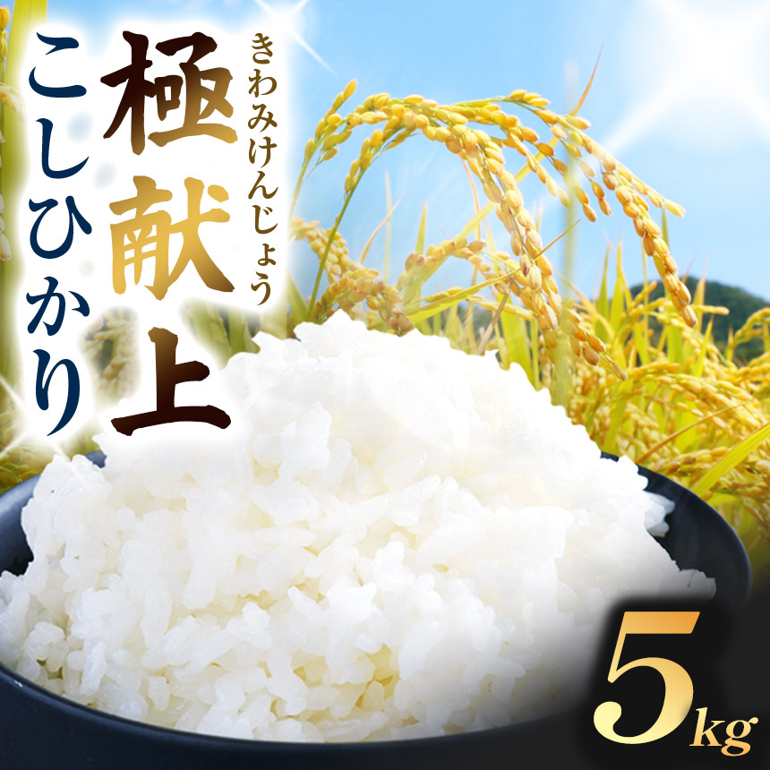 コシヒカリ 5kg【018-21】極献上 こしひかり 5kg | コシヒカリ こしひかり 米 極献上 特別優秀賞 長野県 伊那市 信州