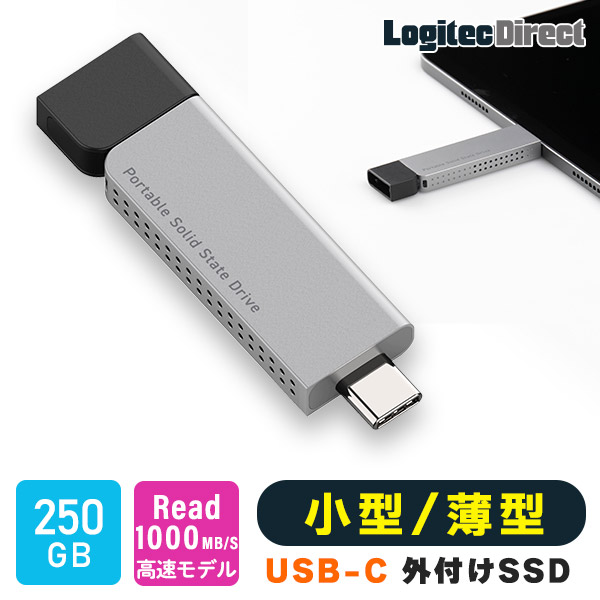 【028-05】ロジテック スリム外付けSSD　250GB　Type-C【LMD-SPDH025UC】