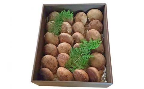 【アルプスの極】椎茸（約1kg /20～26個入）