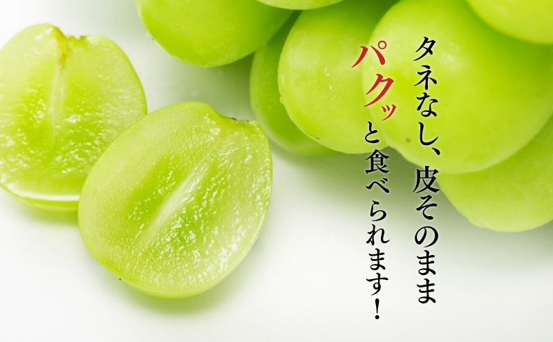 シャインマスカット 約1kg ２～3房 長野 ぶどう 種なし 皮ごと 産地直送 フルーツ 果物 デザート おやつ マスカット ブドウ 葡萄 秋 旬 旬の果物 旬のフルーツ 信州 信州産 長野県 長野県産 2026 2026年