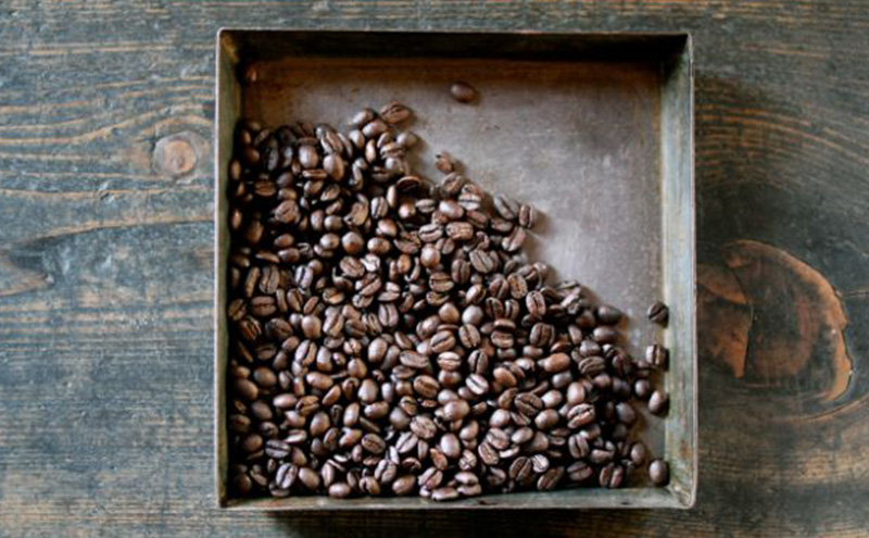 森のおと  炭火焙煎珈琲 300g 飲料類 コーヒー 珈琲 コーヒー豆 珈琲豆