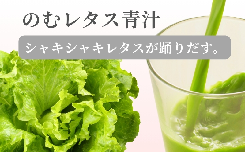 【定期便】【保存料無添加青汁】のむレタス青汁（3g×30包）3か月連続お届け　 無添加青汁　デキストリンフリー青汁　デキストリン無添加青汁　粉末青汁　ヘルシー青汁　健康青汁　野菜青汁　植物性青汁　ハラル青汁　ハラール青汁　野菜摂取　駒ヶ根市