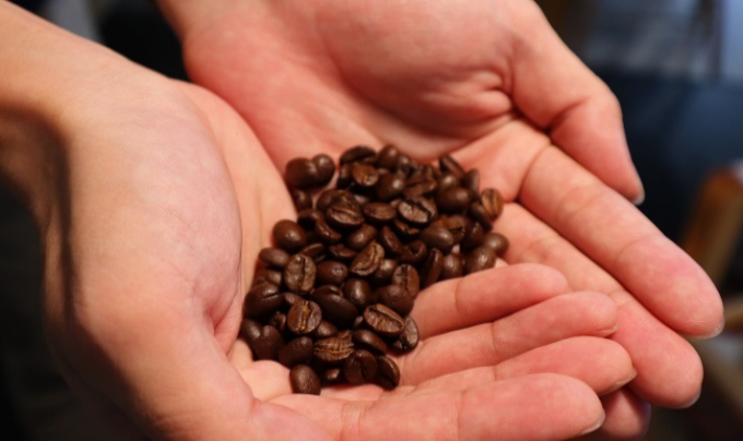 スペシャルティコーヒー「飲み比べセット」（3種×250g）