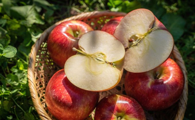 たっぷり楽しめる！長野県産「シナノスイート」りんご（5kg） 果物 フルーツ デザート 食後 強い甘み ジューシー 爽やか 皮薄い 丸かじり 秋の味覚 旬