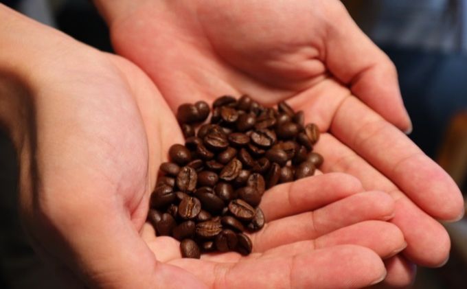 スペシャルティコーヒー「飲み比べセット」（6種×80g）