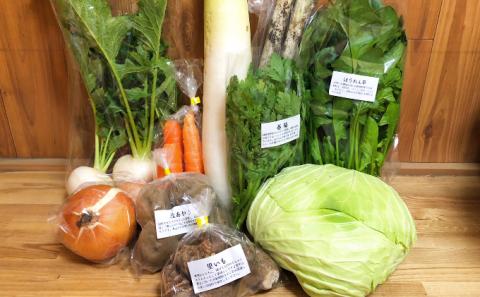 季節の有機野菜「詰合せセット」（10種）