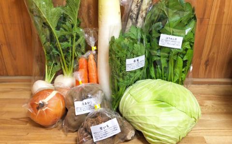 【定期便】季節の有機野菜「詰合せセット」（10種×3回）